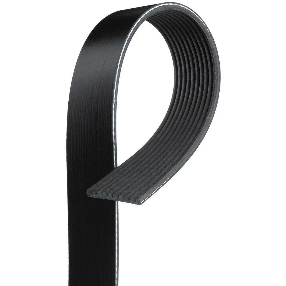 New V Ribbed Belt For Cummins Engine Parts - 8PK1255 - 20-2384 - 3288634