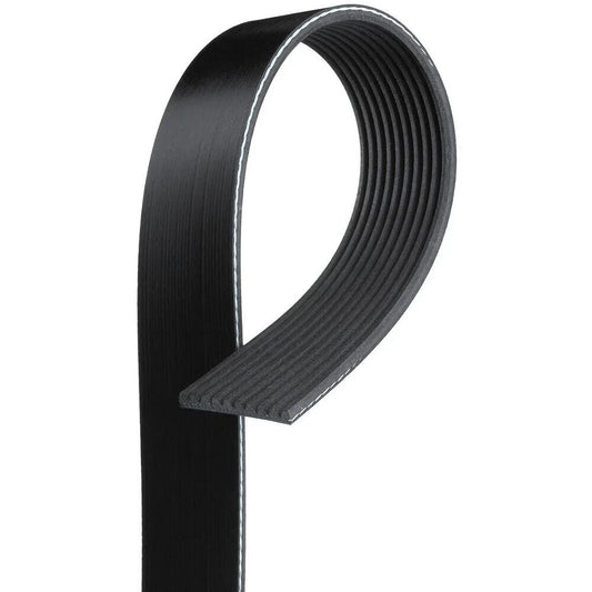 New V Ribbed Belt For Cummins Engine Parts - 8PK1255 - 20-2384 - 3288634