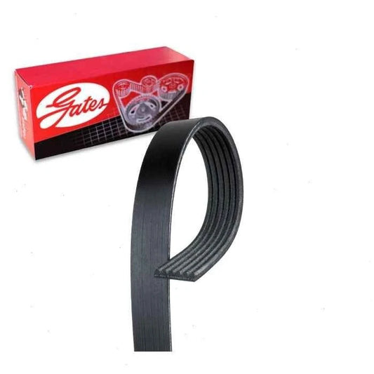 Serpentine Belt-Premium OE Micro-V Belt Gates K060938