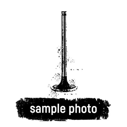 NEW! TRW Intake Valve - 261100 - 3660501226, A3660501226, 001VE30534000 2-pack